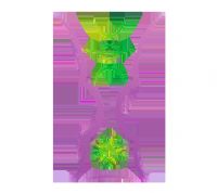 �������ޱ� ������vs���ɱ�20250809