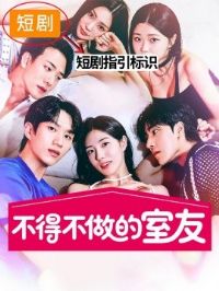 ���ò���������2