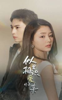 ������ʶ������