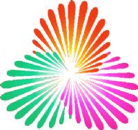 ȫ�˻�Ů���ʸ��� B��-����111.45���20250813