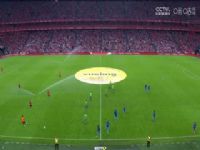 ���� �϶��Ͷ�����vs����÷���� (������) 20231006