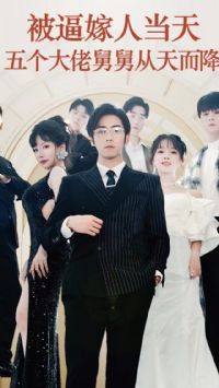 ���Ƽ��˵���������о˾˴������