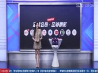 Ӣ������ ����ķVS������ 20240421