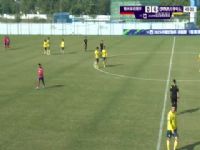 ��Э���ʸ��� ˷����У����VS�������������� 20241219