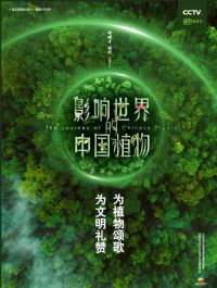 Ӱ��������й�ֲ��