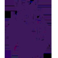 Ӣ�� ������vs����ķ20251108