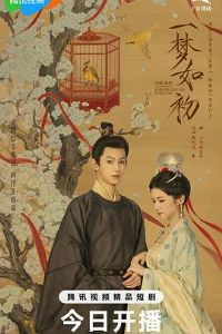 һ�����2025